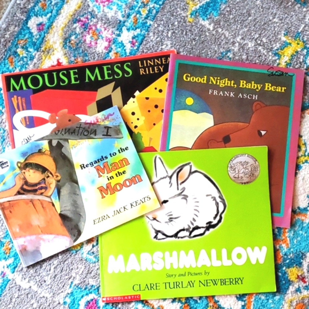 🛍bundle 2 for 28🛍  4 story books